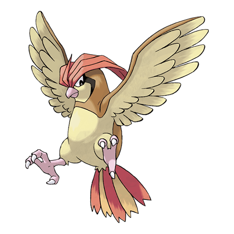 pidgeotto